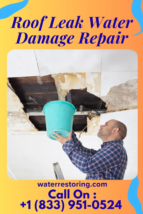 Roof Leak Water Damage Repair in Newton, IL